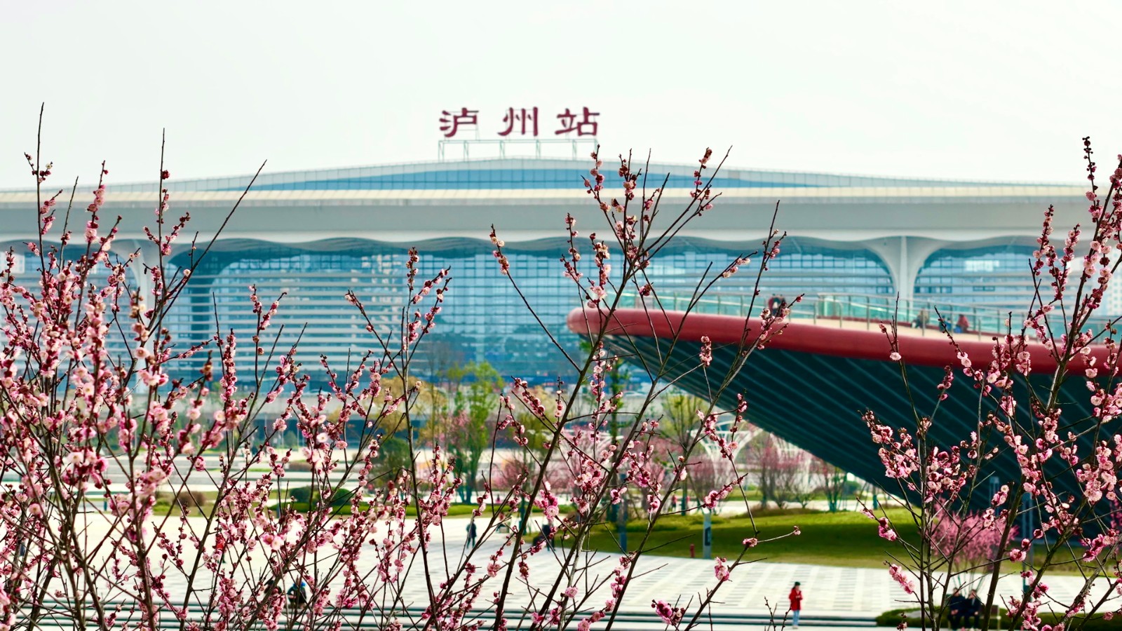 2026世界杯园林绿化维护